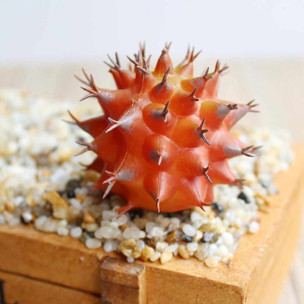 Cactus Artificial Plant Plastic Succulent Cactus Office Garden Home Plant #1