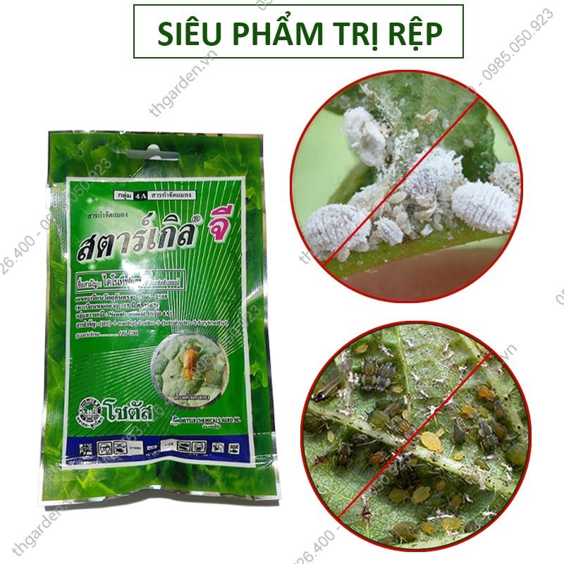 Thuốc trị rệp sáp Thái Lan gói 100g - Thuốc diệt rệp cây cảnh - Diệt rệp, côn trùng có hại cho cây - An toàn hiệu quả