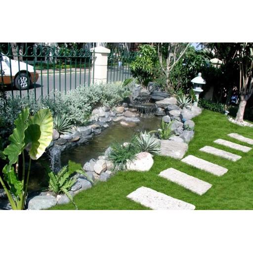 Hạt Cỏ Thảm Nhung Nhật 300gam - Cỏ Trang Trí Sân Vườn
