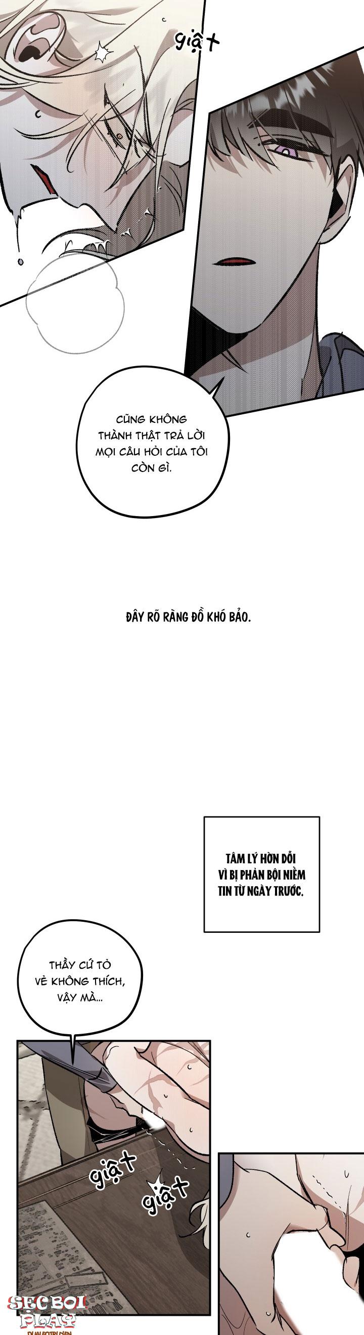 khu vườn hoa lavender chapter 4 13