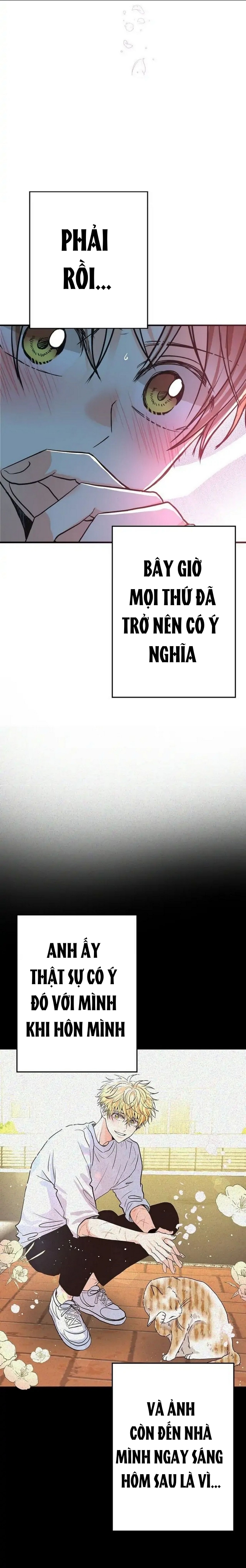 mối quan hệ phù hợp chapter 17 3