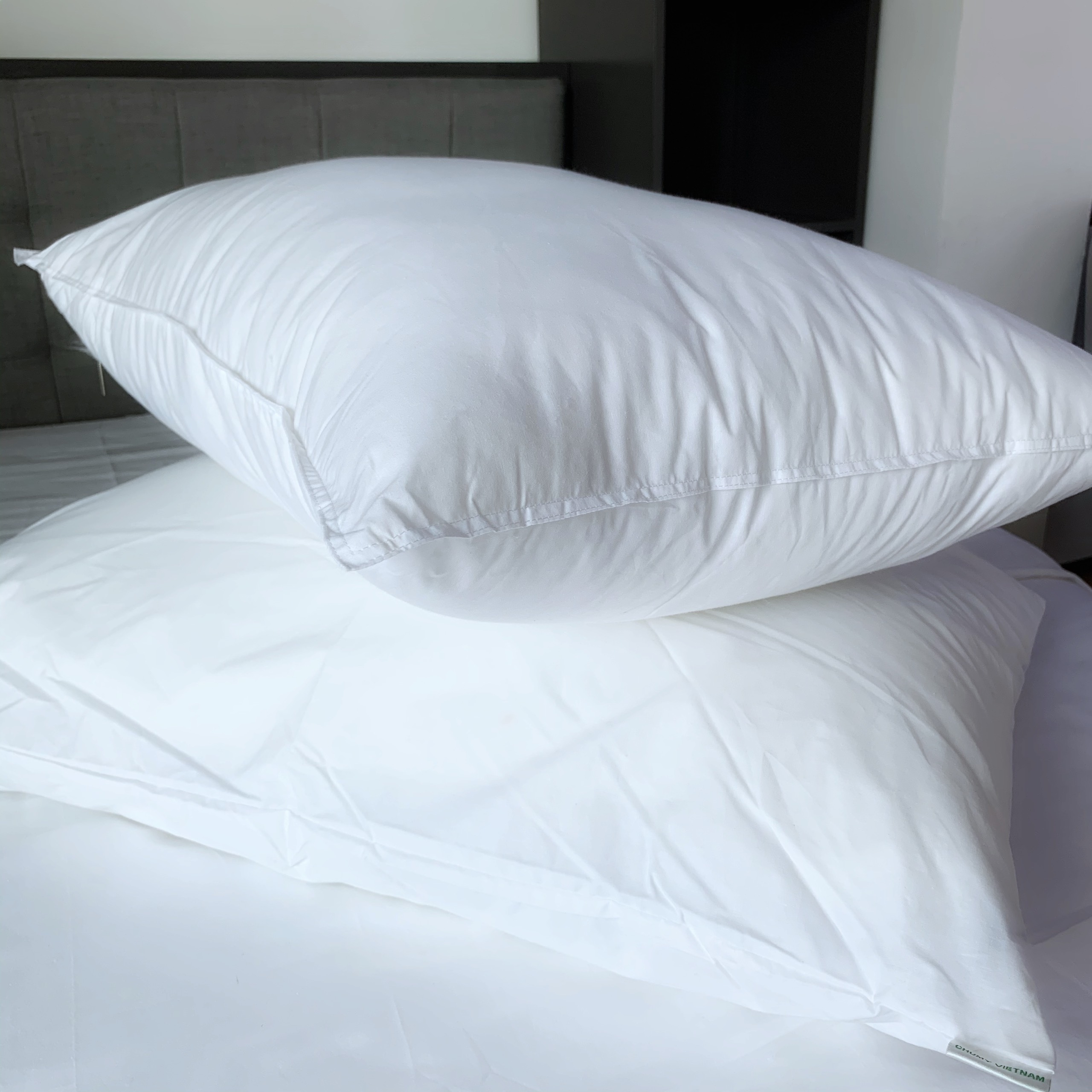 Ruột gối khách sạn giả lông vũ CHUMY