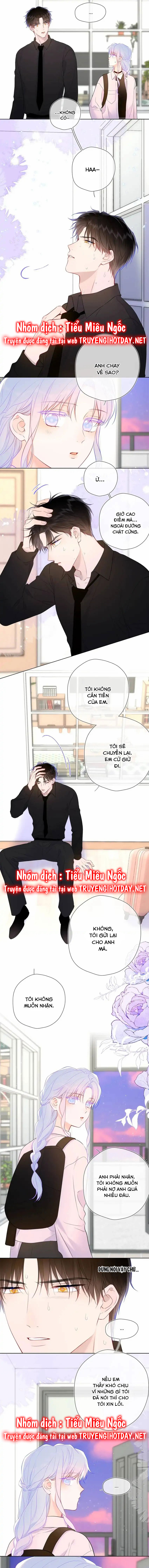 Vì Sao Của Tôi chapter 143 - Trang 8