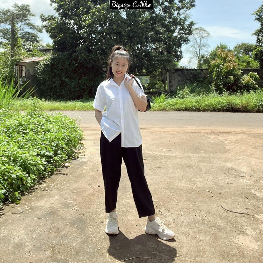 Áo sơ mi trắng bigsize nữ tay ngắn đi học đi làm SMHS