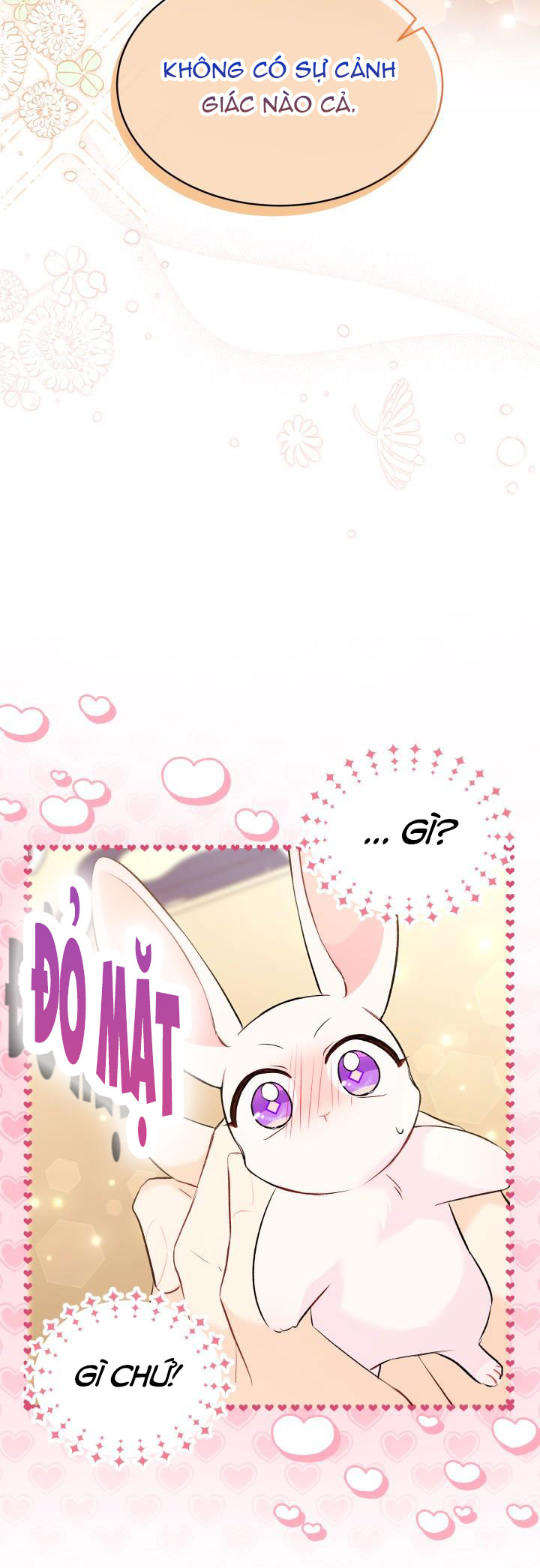 mối liên kết giữa báo đen và bé thỏ chapter 56 56