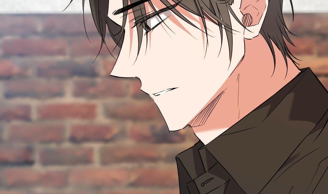 những chú thỏ của hapypy chapter 56 148