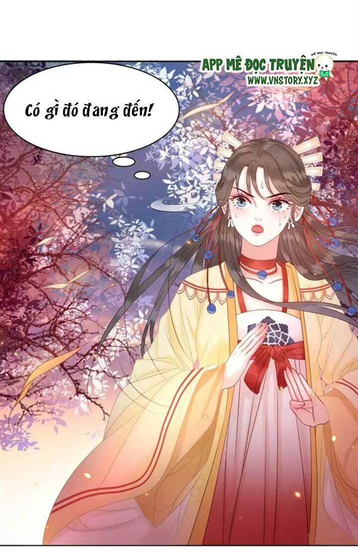 cực phẩm phế vật tiểu thư chapter 61 14