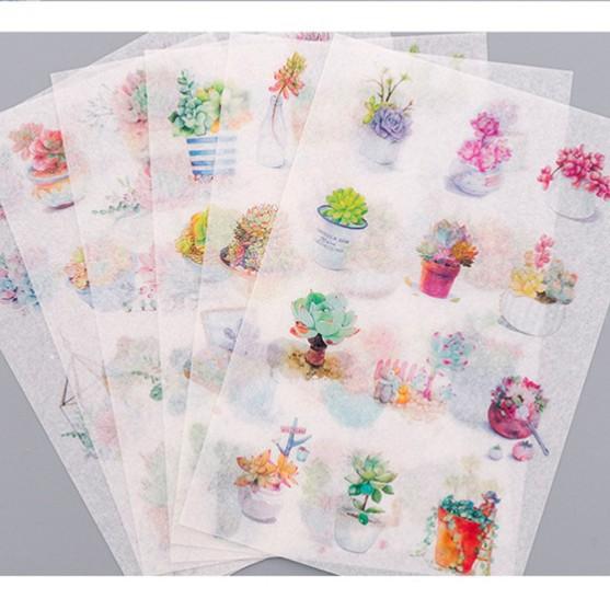 Set 6 tấm sticker xương rồng dạng giấy washi