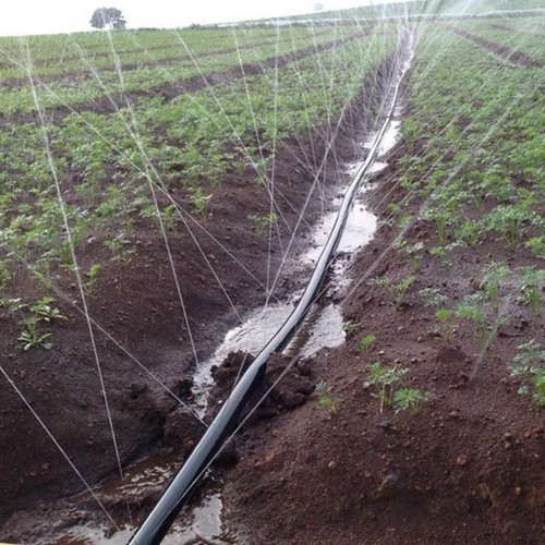 ống tưới phun mưa phi 34mm 5 lỗ chéo dùng trong hệ thống tưới cây trồng theo hàng , luống