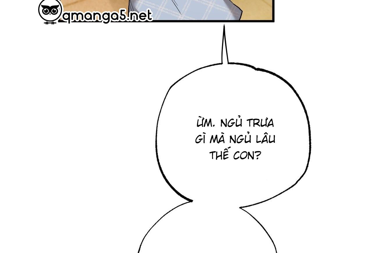 những chú thỏ của hapypy chapter 65 17