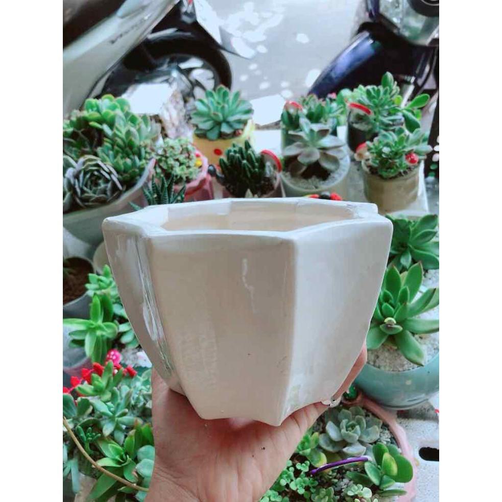 Chậu tráng men Bán Chạy