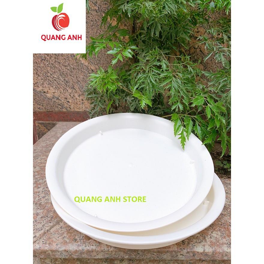 ĐĨA LÓT CHẬU CÂY CẢNH PHI 35