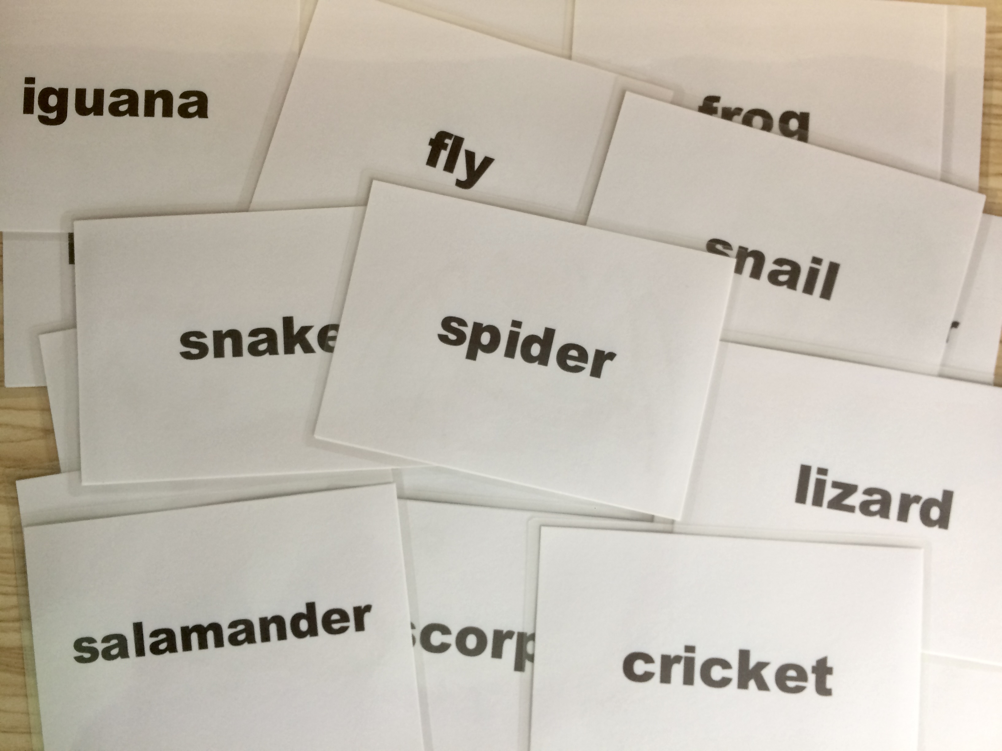 Animal Flashcards: Insect and Reptile - Thẻ học tiếng Anh chủ đề Động vật: Côn trùng và bò sát - 20 cards