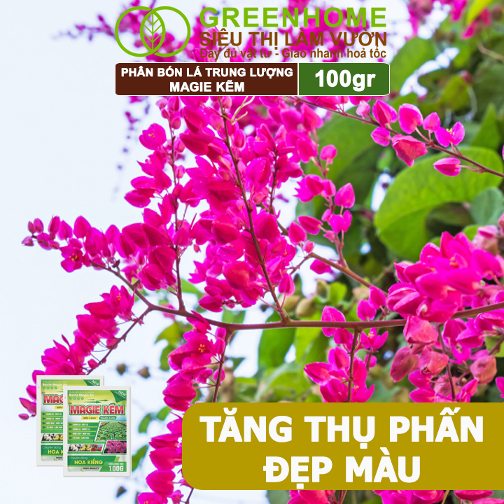 Phân Bón Lá Magie Kẽm, GreenHome, Gói 100GR, Chuyên Dùng Cho Hoa Kiểng
