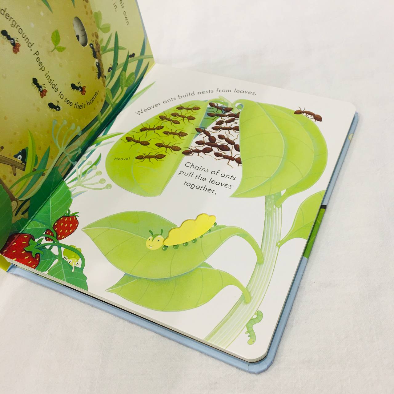 Tuyển tập Sách tương tác tiếng Anh lật mở Usborne Lift-the-flap Peep Inside cho bé từ 3 tuổi