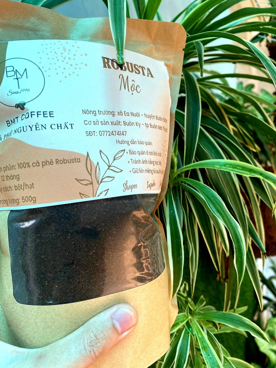Cà phê Robusta nguyên chất rang MỘC 100% - Robusta Buôn Ma Thuột cafe từ Đắk Lắk 1 kg