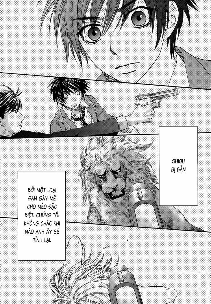 nekoka danshi no shitsukekata chapter 8 3