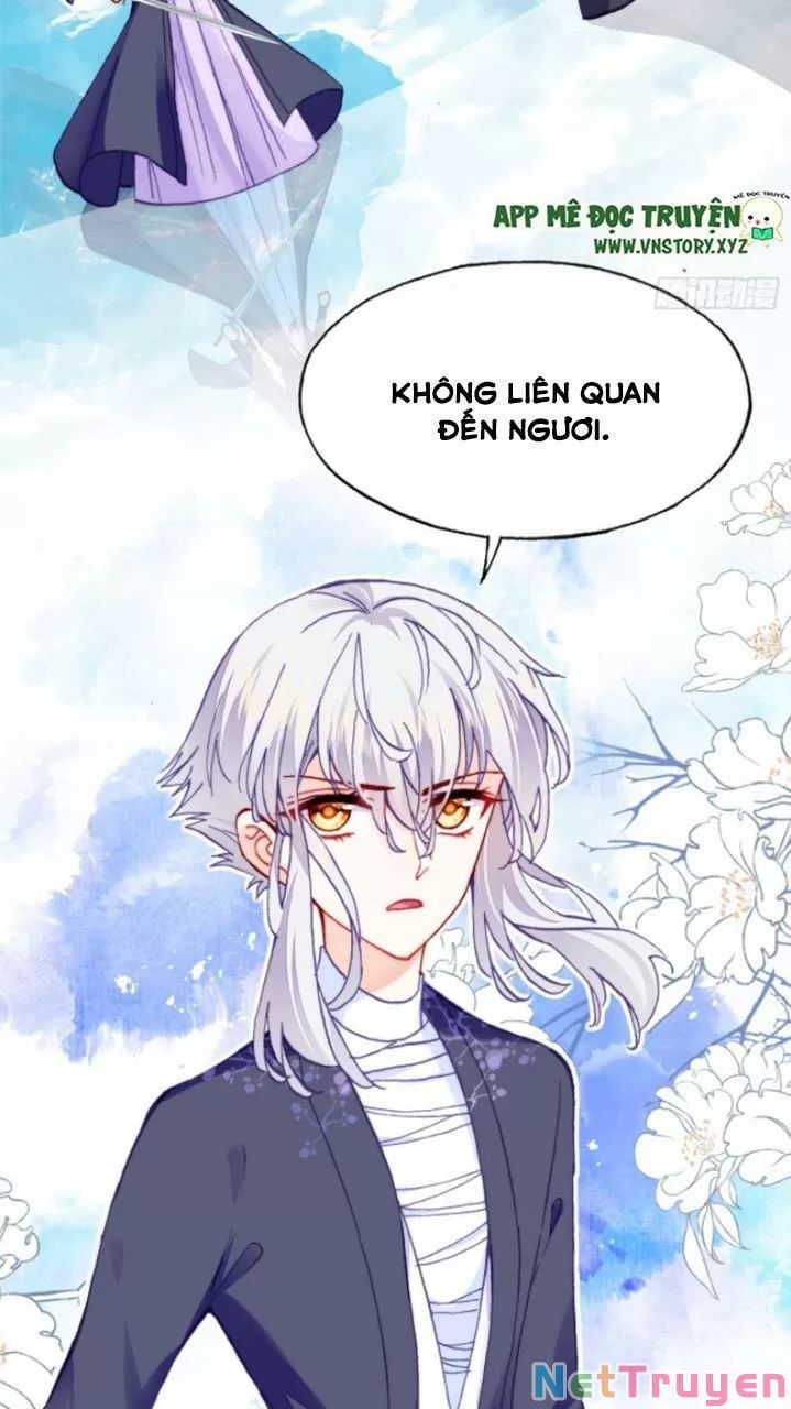 lại bị bệnh chiều chuộng quấn lấy chapter 24 20