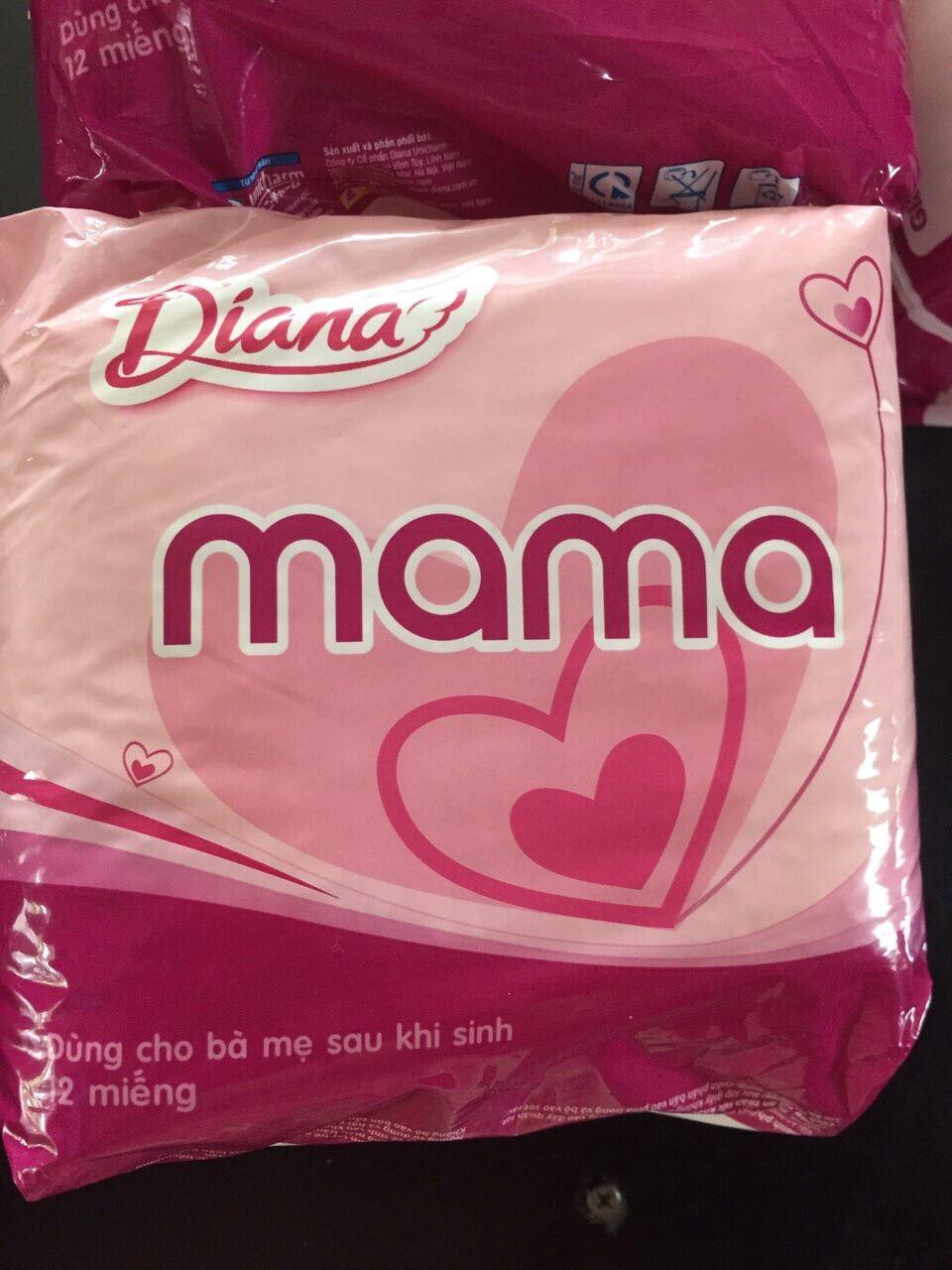 Combo 2 Gói Băng Vệ Sinh Diana Mama (12 miếng) - HSD 2027