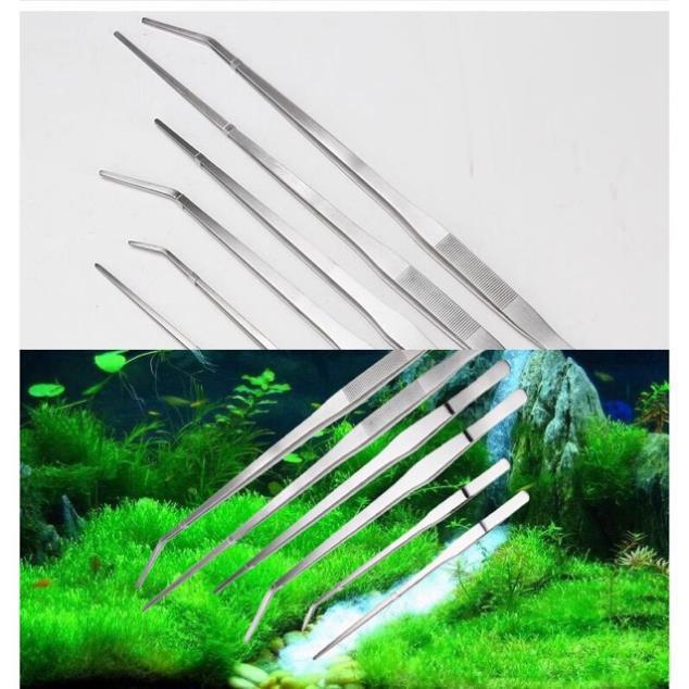 Nhíp Và Kéo Inox - Trồng Cây Cho Hồ Thủy Sinh