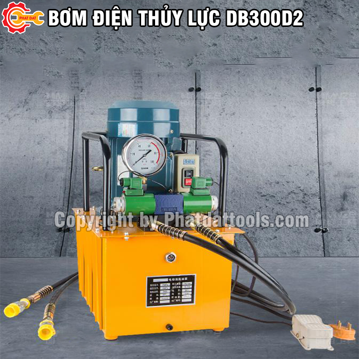 Bơm điện thủy lực DB300D2