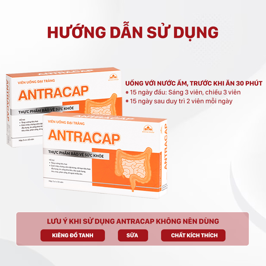 Viên uống đại tràng Antracap