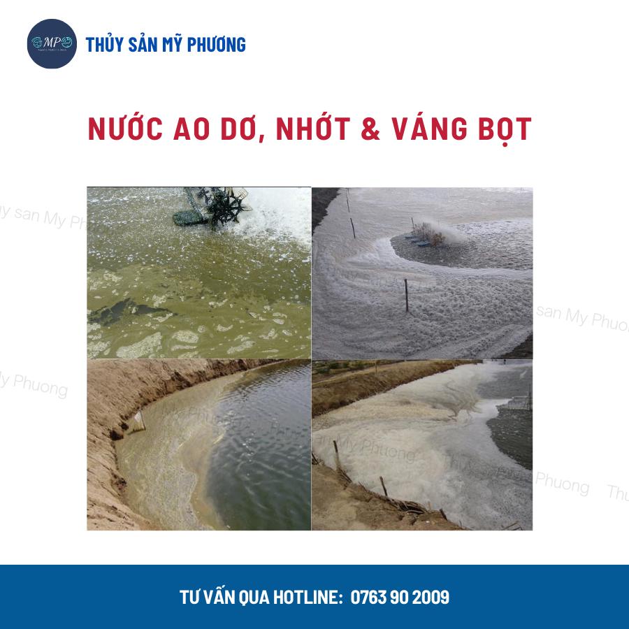 Men vi sinh xử lý đáy nước ao nuôi dơ khí độc diệt rong rêu Pro Bio nước bị đục gây màu nước tôm thẻ cá lươn ếch ốc baba