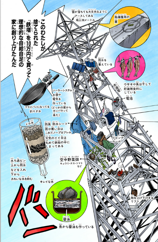 Jojo No Kimyouna Bouken 43 - Jojo's Bizarre Adventure 43 (Japanese Edition)