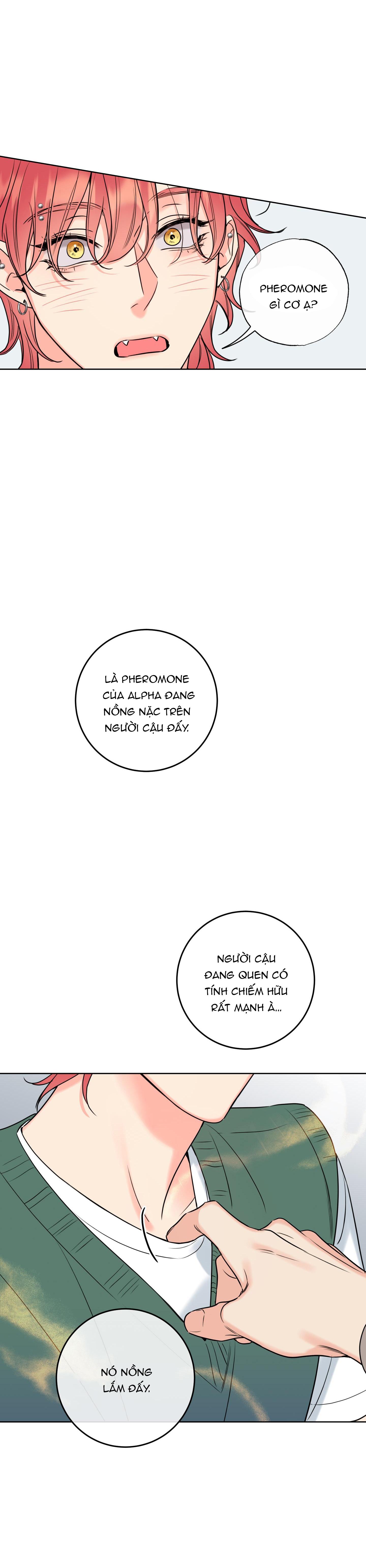 honey trouble - rắc rối ngọt ngào chapter 17 35