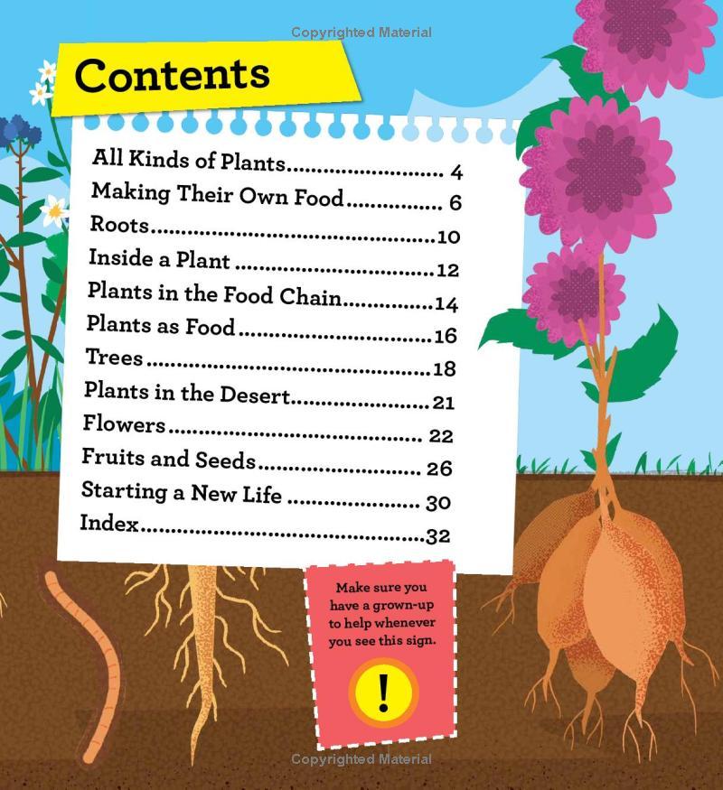 Sách ngoại văn: Discover It Yourself - Plants And Flowers