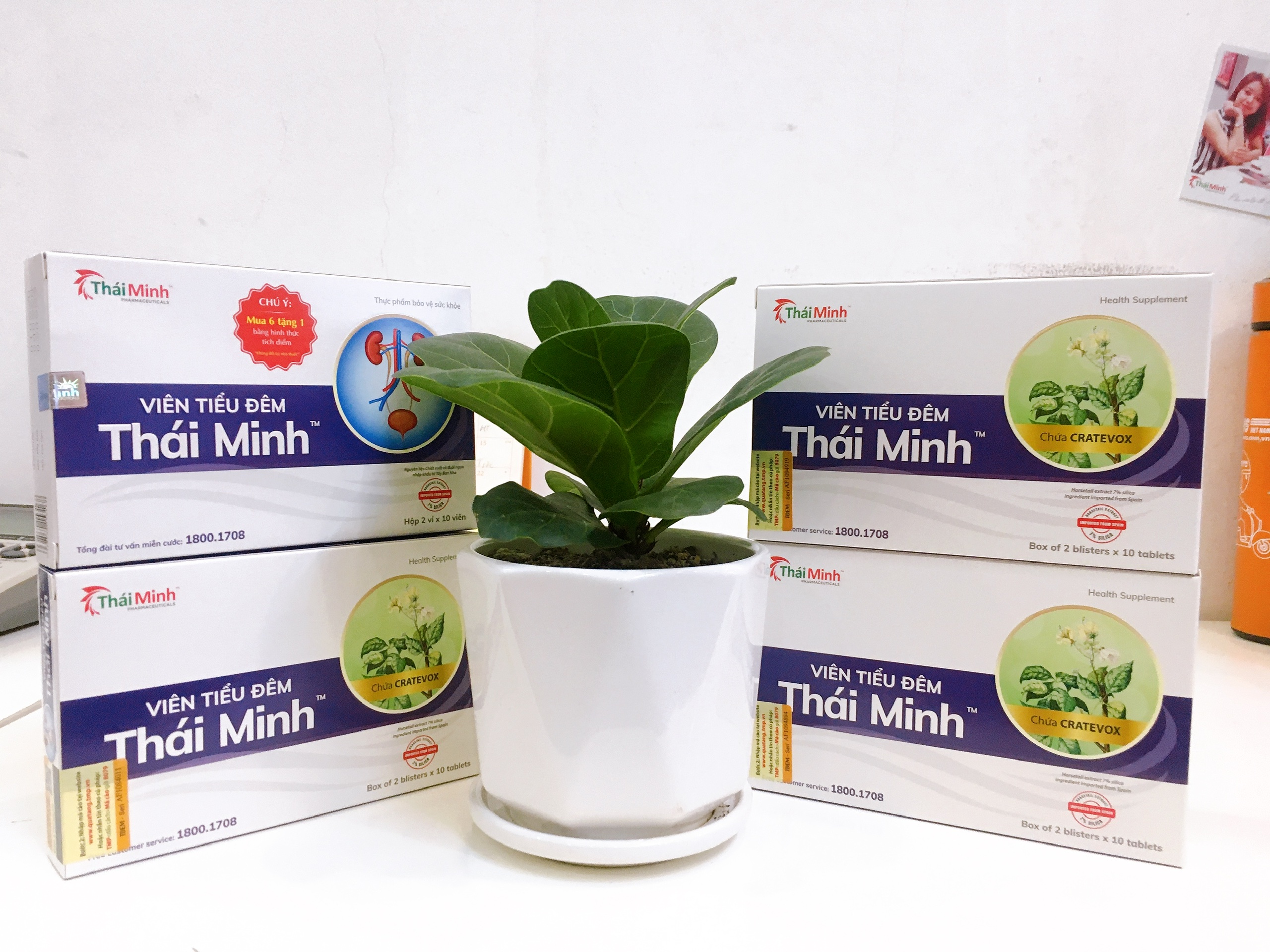 Combo 4 hộp Viên Tiểu Đêm Thái Minh