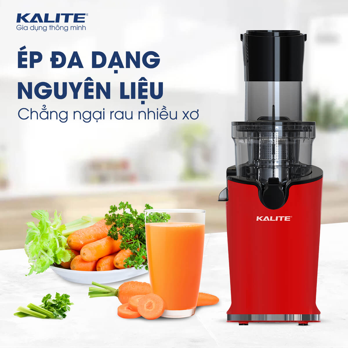 Máy Ép Trái Cây, Máy Ép Chậm Mini KALITE KSJ4414 Tiêu Chuẩn Châu Âu Dung Tích 400 ML Công Suất 200 W - Hàng Chính Hãng