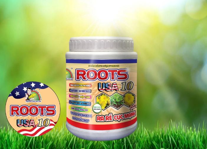 [Phân bón roots 10 usa] kích rễ cực mạnh giải độc hữu cơ bung chồi xanh cây