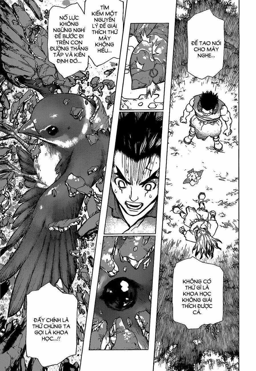 dr.stone - hồi sinh thế giới chapter 2 22