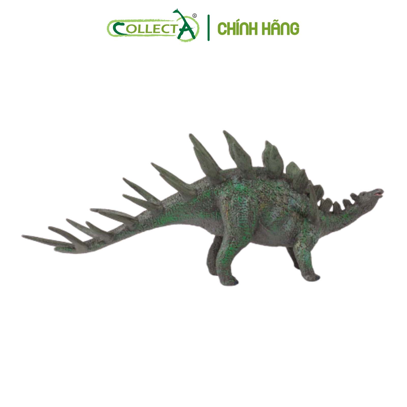 Mô hình thu nhỏ: Khủng Long Kentrosaurus - Kentrosaurus, hiệu: CollectA, mã HS 9654060 - Chất liệu an toàn cho trẻ - Hàng chính hãng