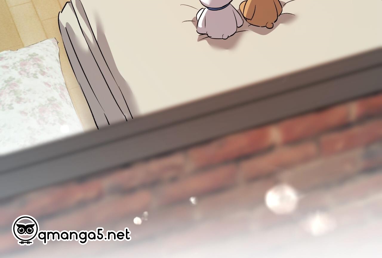 đàn thỏ của habibi chapter 65 258