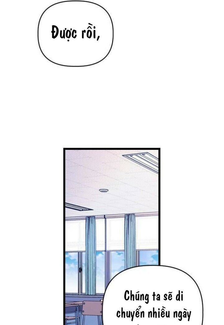 survive romance chapter 23 94