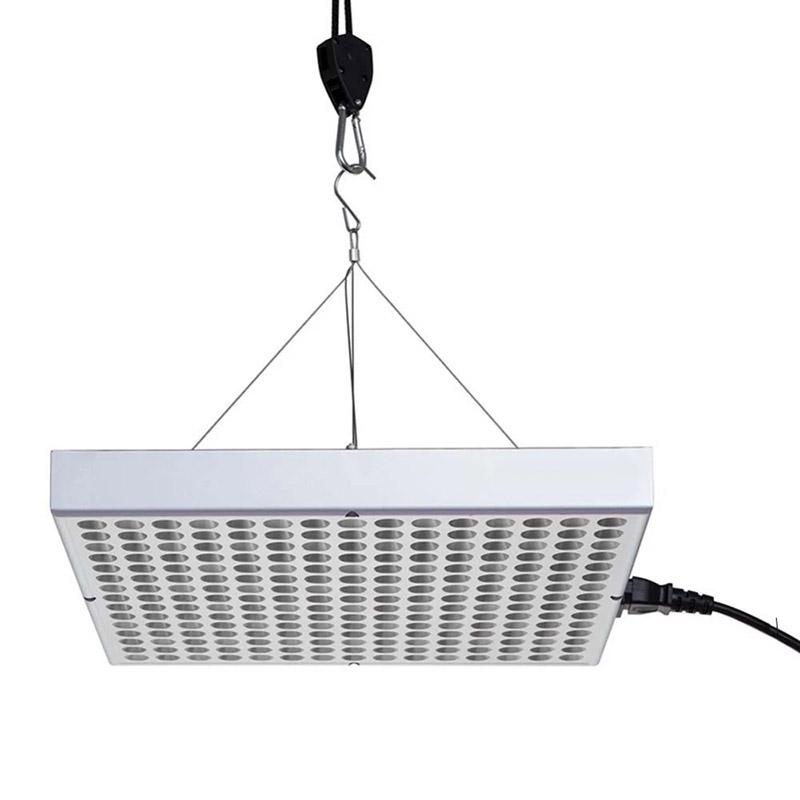 Dây Ròng Rọc Có Thể Điều Chỉnh Giúp Cây Tăng Trưởng