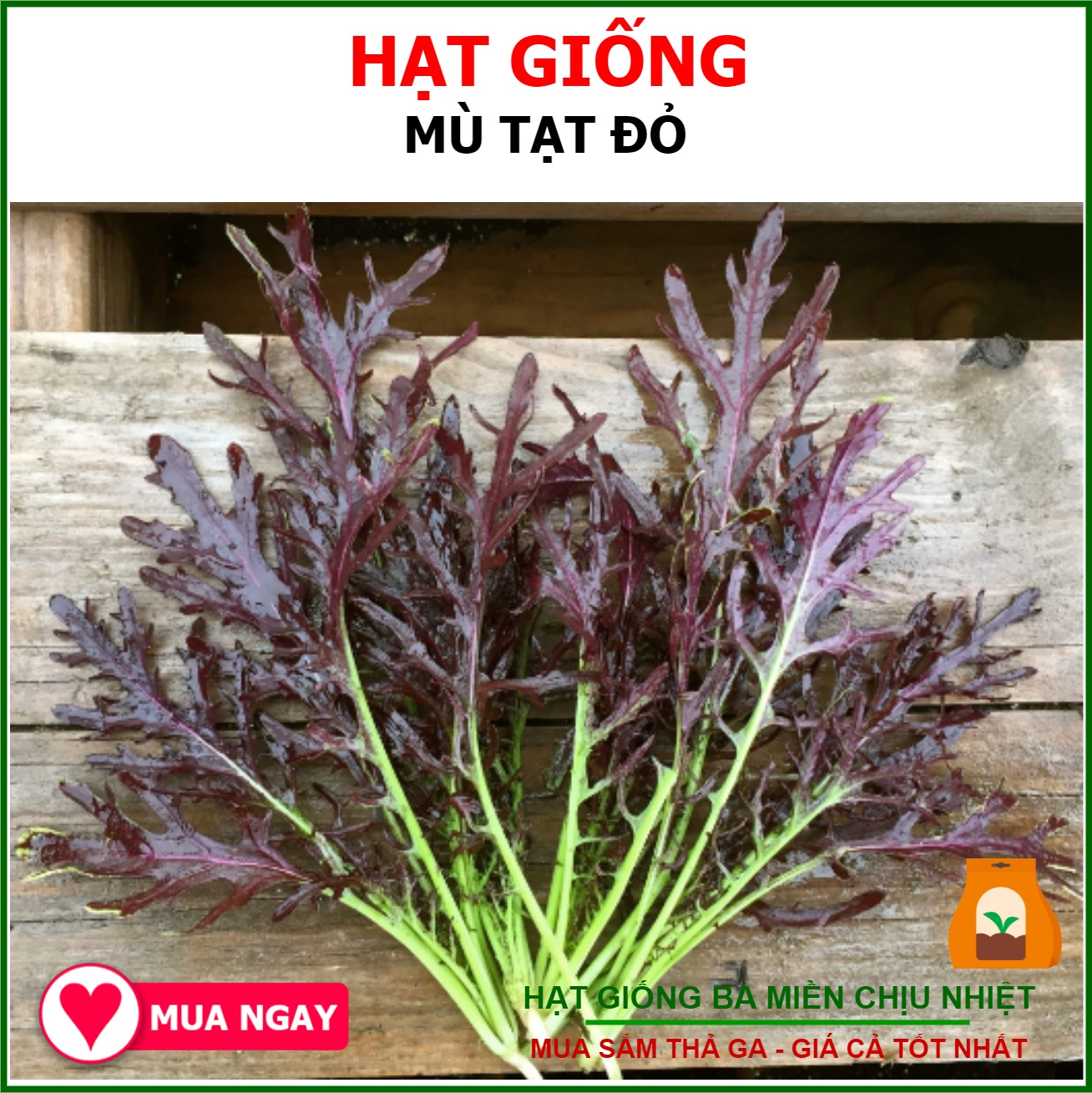 Hạt Giống Rau Mù Tạt Đỏ Gói 10gram