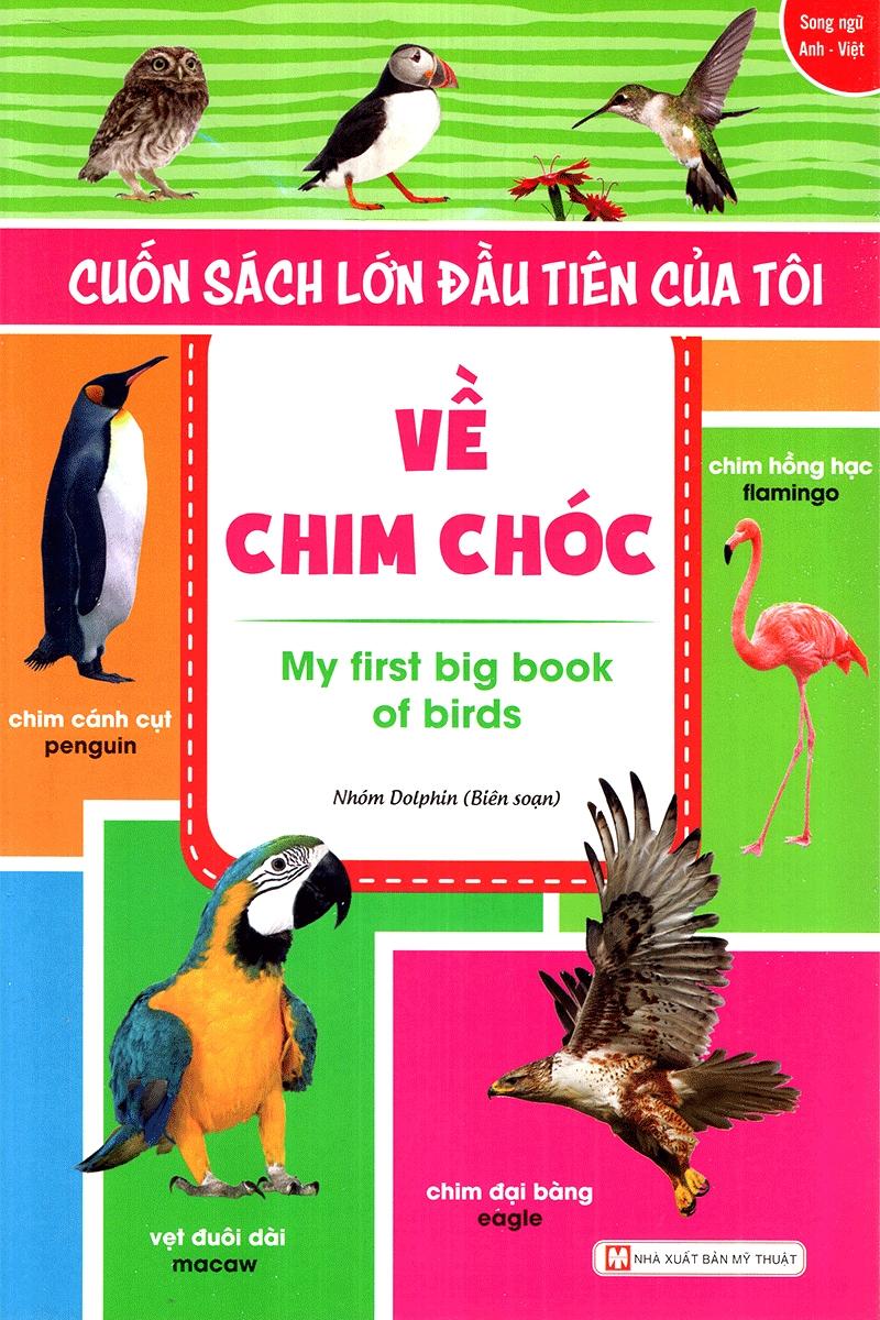 Bộ Sách Đầu Tiên Của Tôi - Về : Chim Chóc + Các Loại Quả + Về Màu Sắc + Bảng Chữ Cái Tiếng Anh + Chữ Số