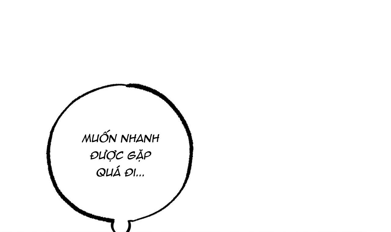 đàn thỏ của habibi chapter 44 239