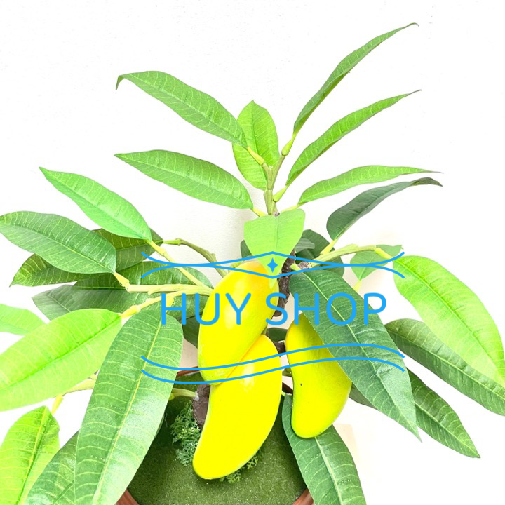 CHẬU CÂY TRÁI XOÀI NHÂN TẠO SỐ 1 TRANG TRÍ NHÀ CỬA