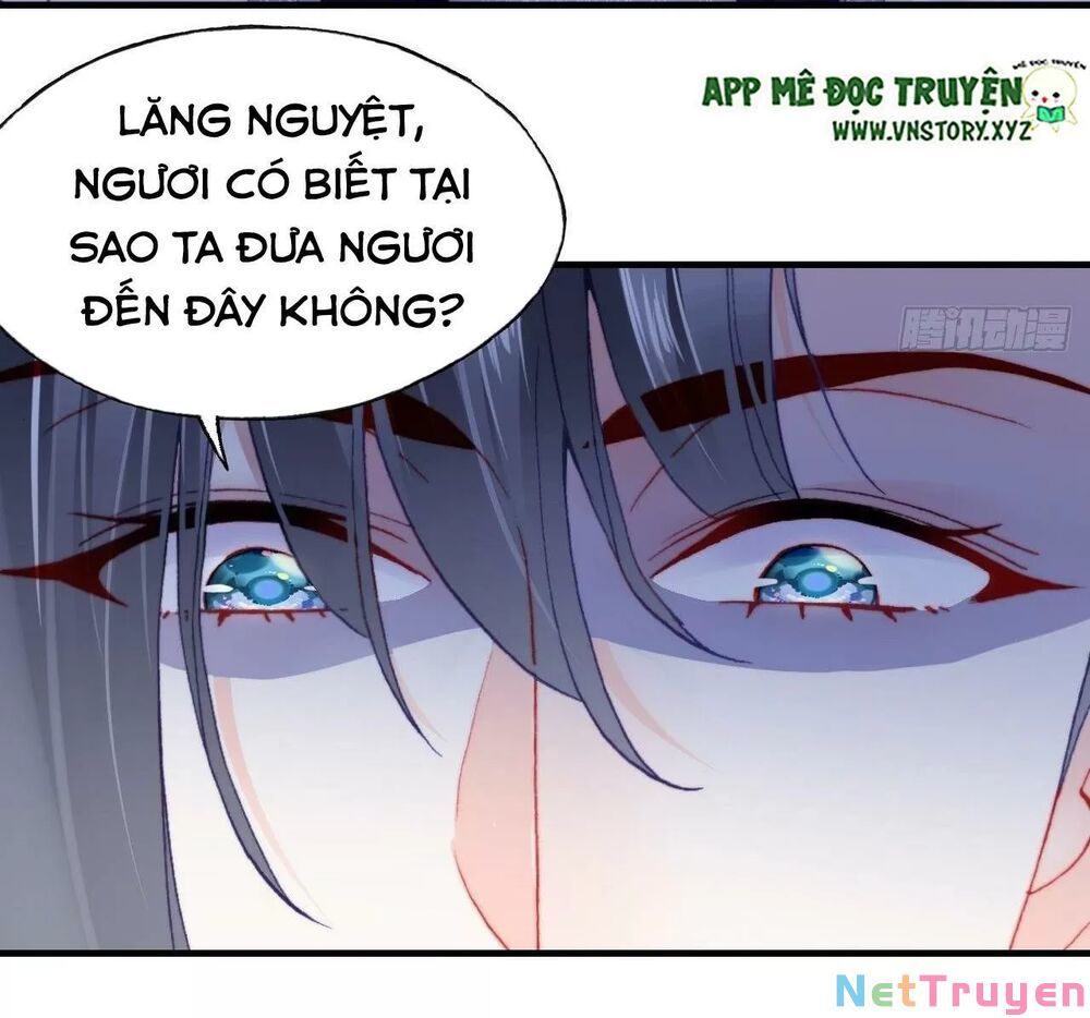 lại bị bệnh chiều chuộng quấn lấy chapter 59 50