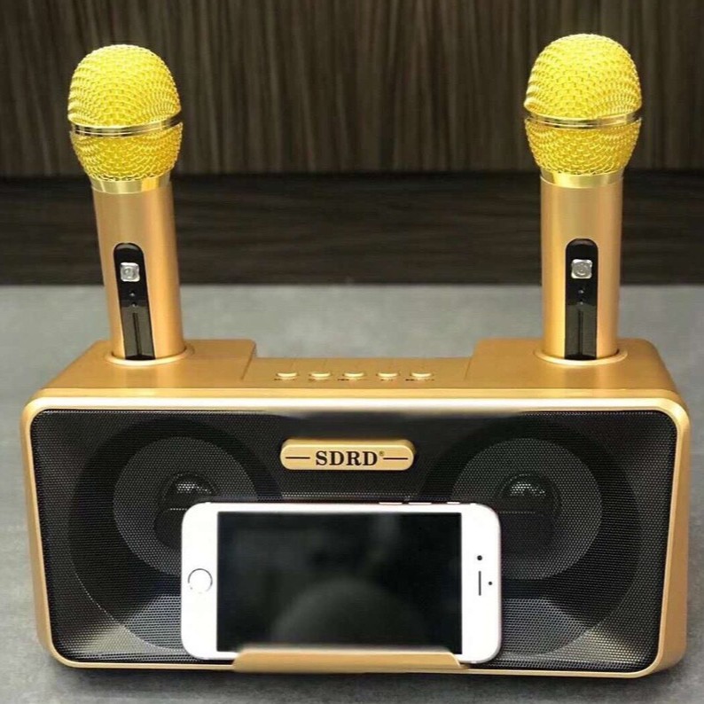 Loa Hát Karaoke SD301 Kèm 2 Mic Không Dây Giau Màu Ngẫu Nhiên