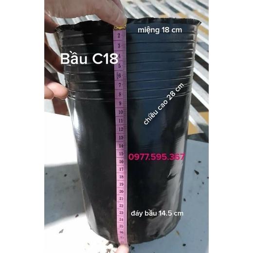 Chậu sầu riêng , .
