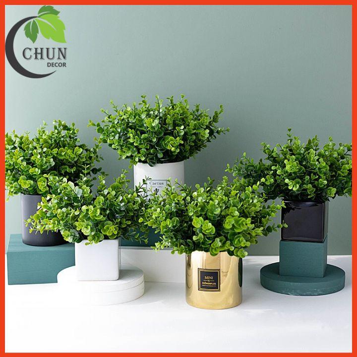 Chậu Lá Kim Tiền Nhân Tạo Xanh Mướt Cao 25-28cm Trang Tí Nhà Cửa, Cửa Hàng, Văn Phòng, Lớp Học