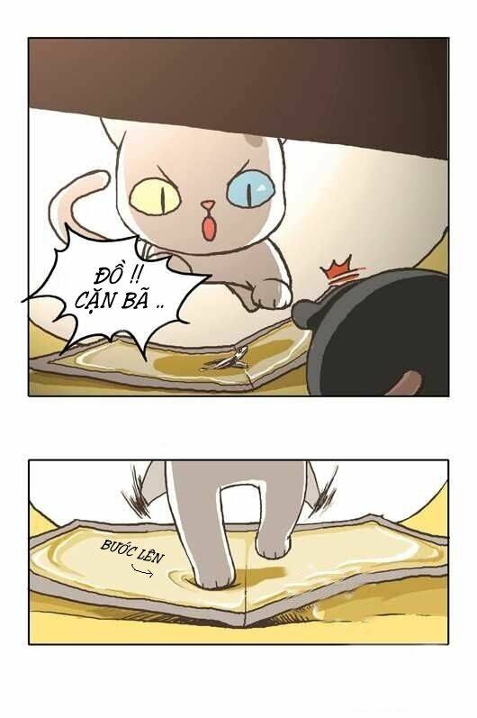 papi nyang chapter 3 21