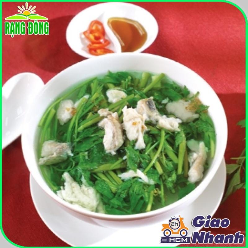 Hạt giống Rau Tần Ô Trồng Quanh Năm, Sinh Trưởng Khỏe - Hạt giống Rạng Đông