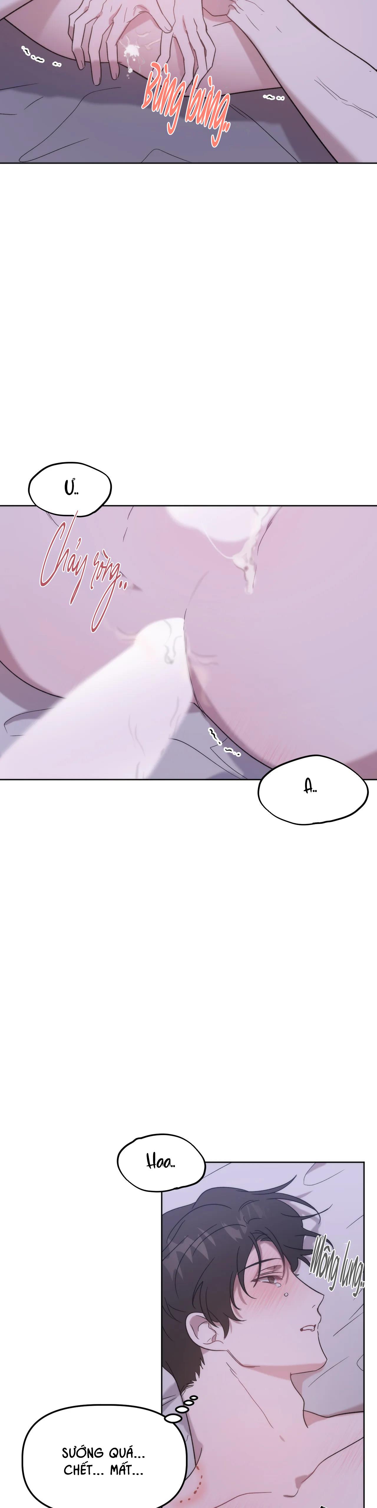 đã hiểu chưa chapter 12 24