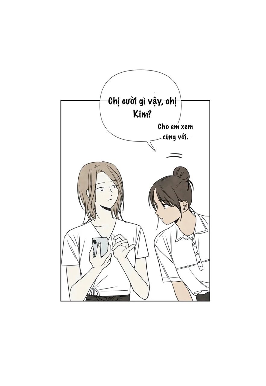 summer solstice point chapter 11 28